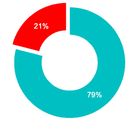 A graph explains Shelters donation division.